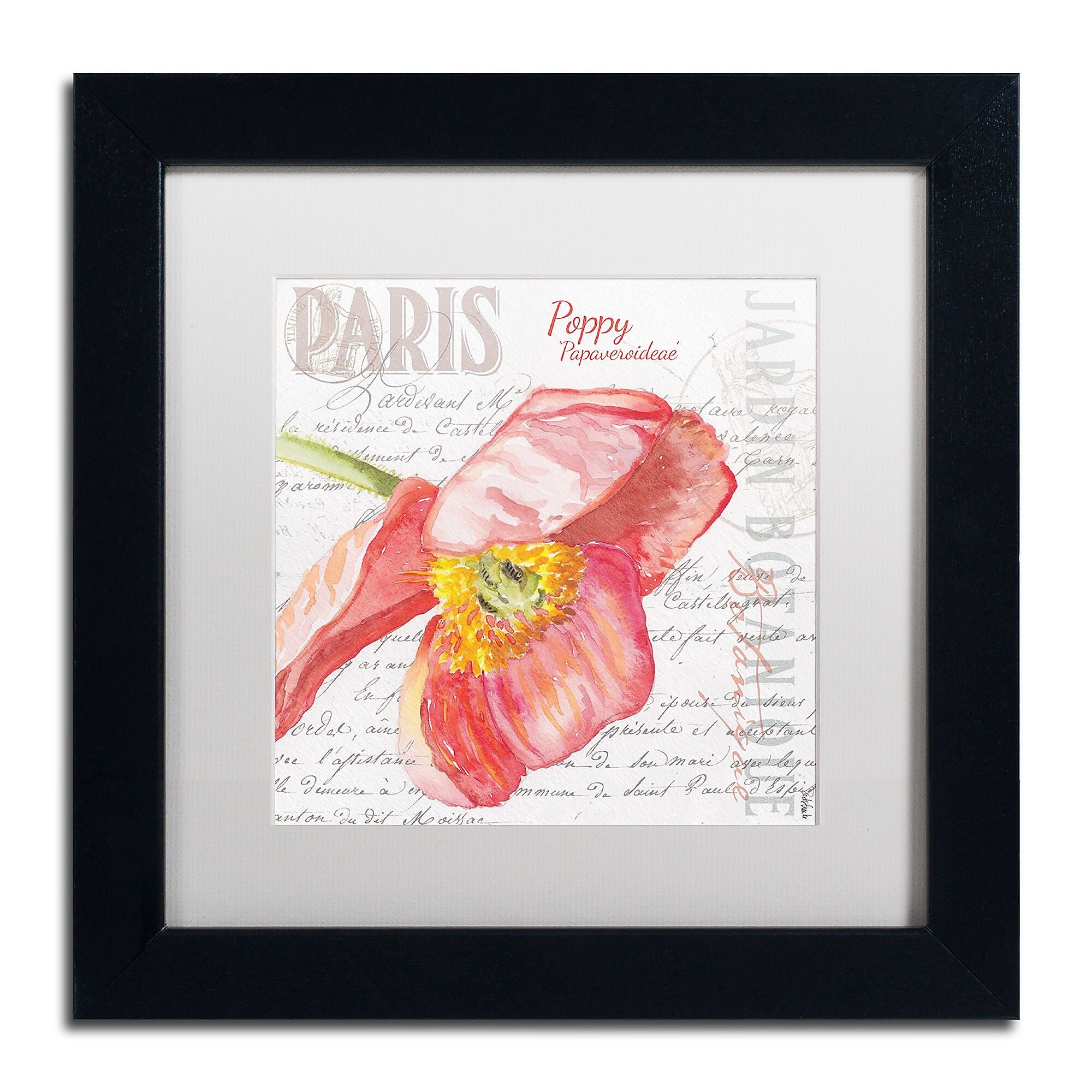 Trademark Fine Art Jennifer Redstreake 'Paris Botanique Red Poppy' 11" x 11" Matted Framed Art Print (886511944312)