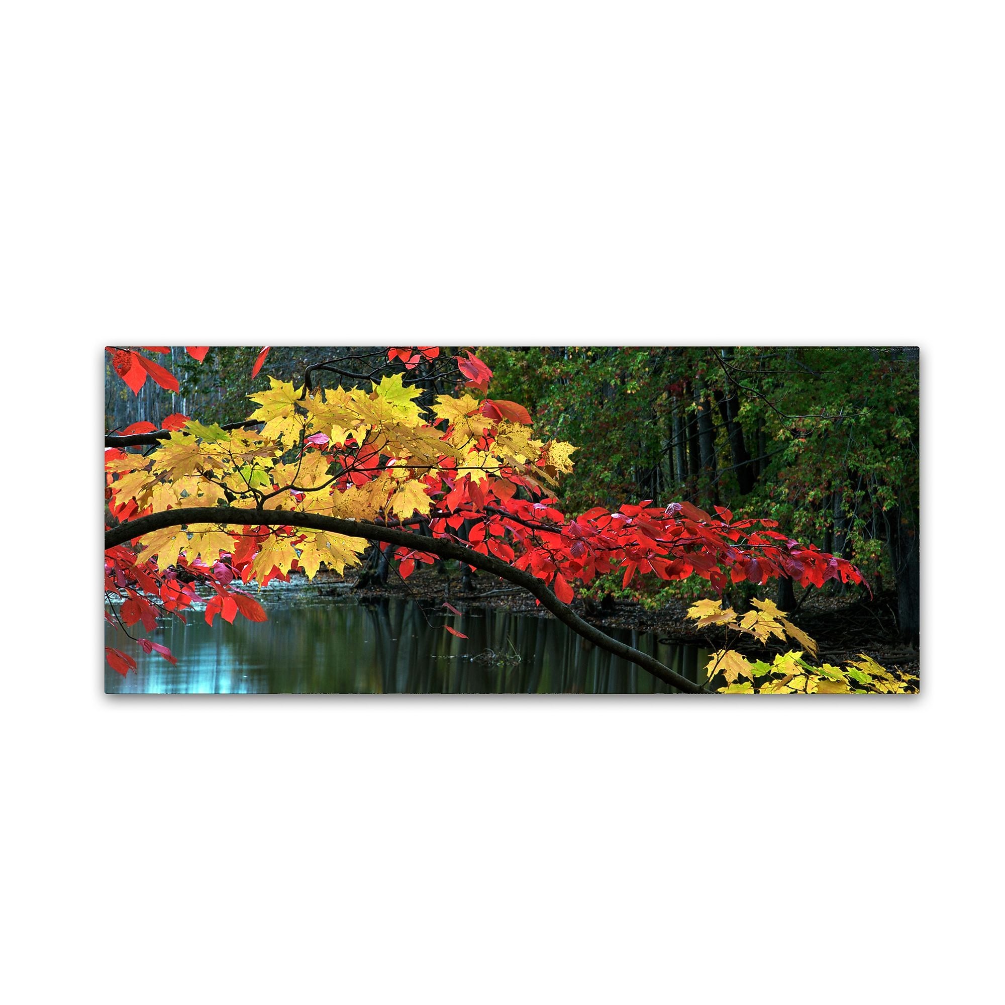 Trademark Fine Art Kurt Shaffer 'Autumn Red and Gold' 10" x 24" Canvas Stretched Art Print (886511964006)