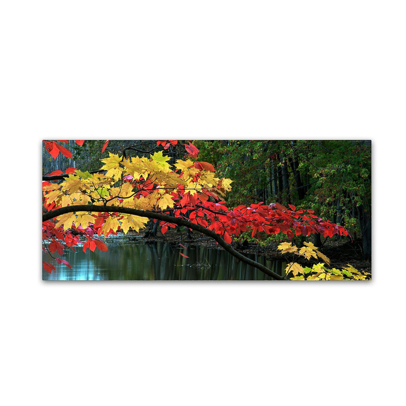 Trademark Fine Art Kurt Shaffer 'Autumn Red and Gold' 10" x 24" Canvas Stretched Art Print (886511964006)