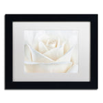 Trademark Fine Art Cora Niele 'Pure White Rose' 11" x 14" Matted Framed Art Print (190836308668)