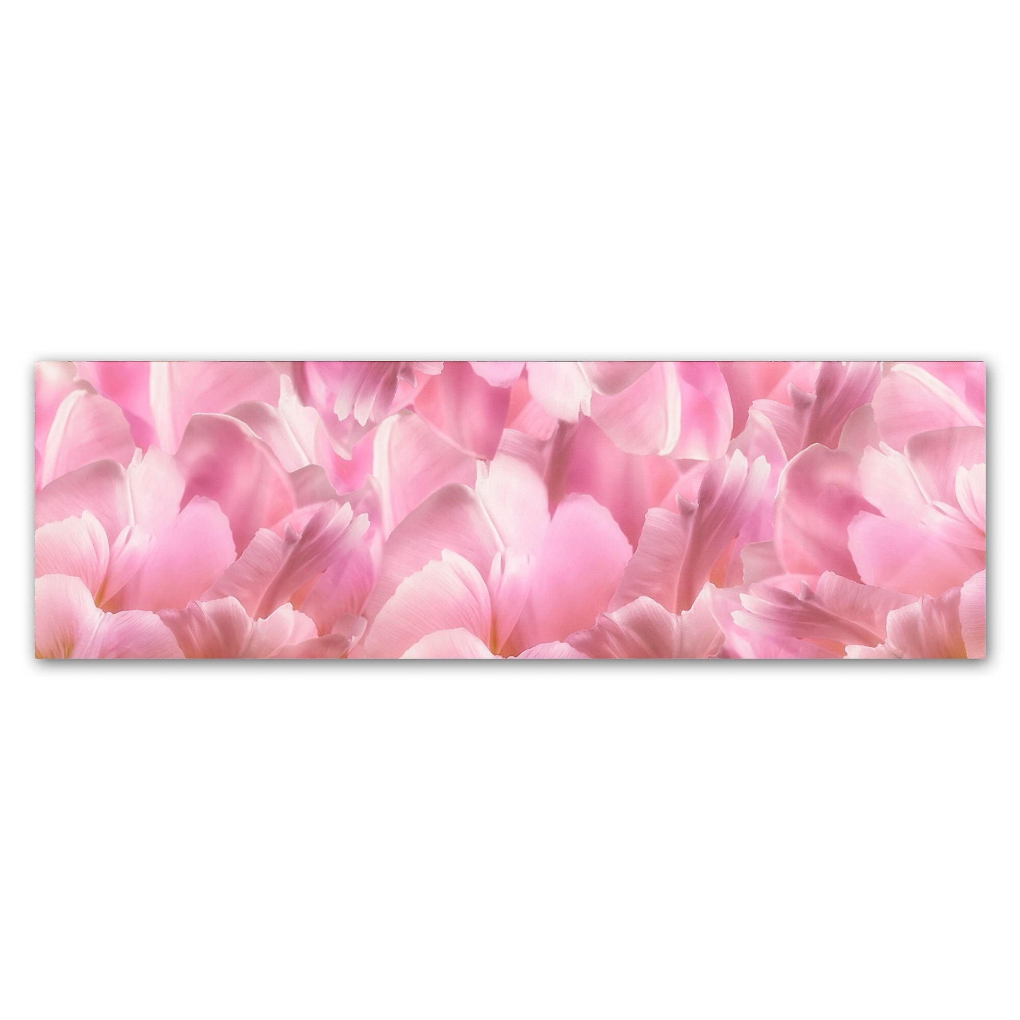 Trademark Fine Art Cora Niele 'Pink Tulip Scape' 8" x 24" Canvas Stretched (190836317776)