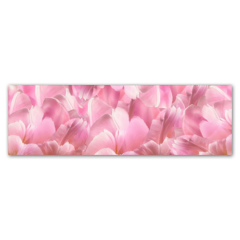 Trademark Fine Art Cora Niele 'Pink Tulip Scape' 8" x 24" Canvas Stretched (190836317776)