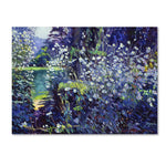 Trademark Fine Art David Lloyd Glover 'Tangled White Flowers' 14" x 19" Canvas Stretched (190836225569)