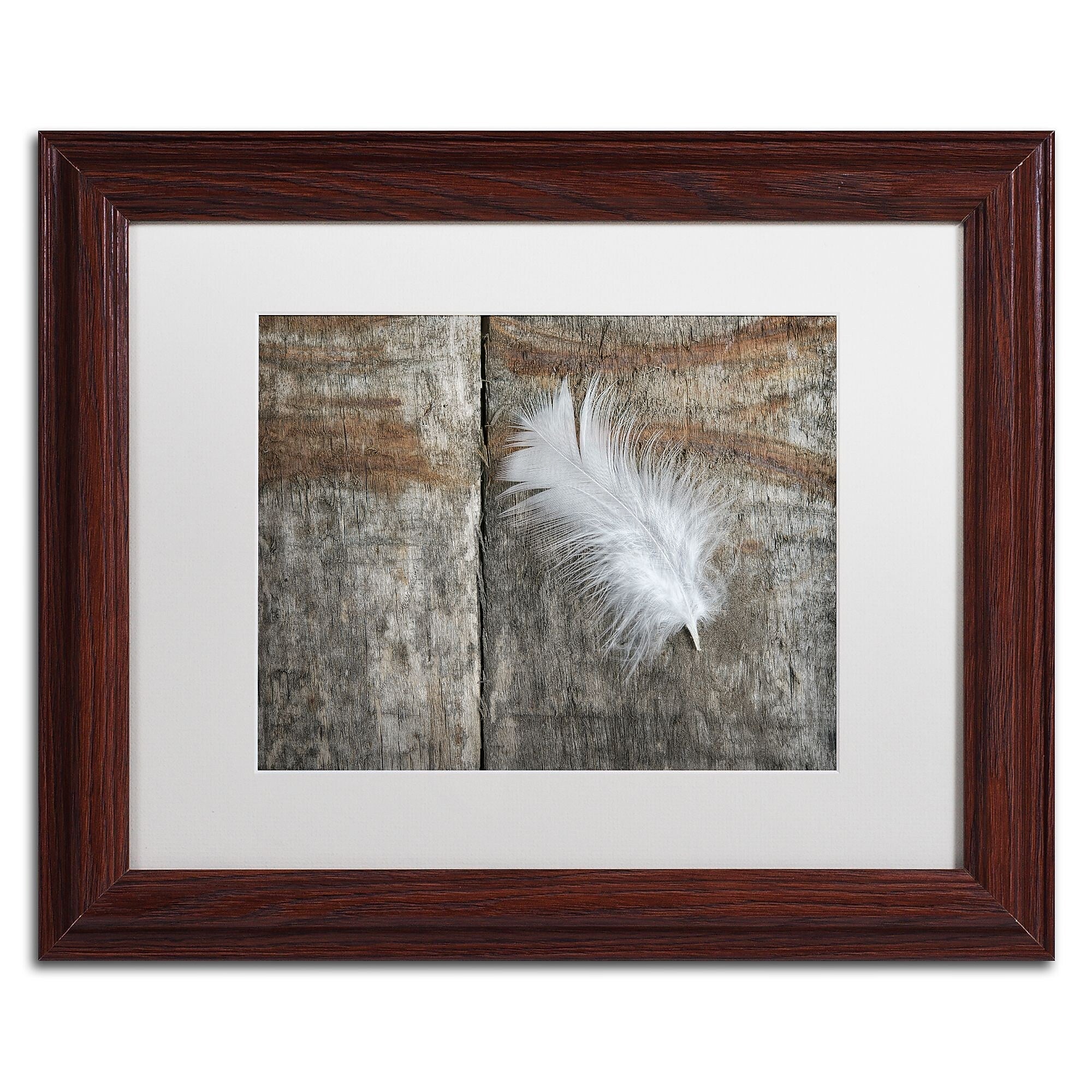 Trademark Fine Art Cora Niele 'Feather on Wood II' 11" x 14" Matted Framed Art Print (190836255641)