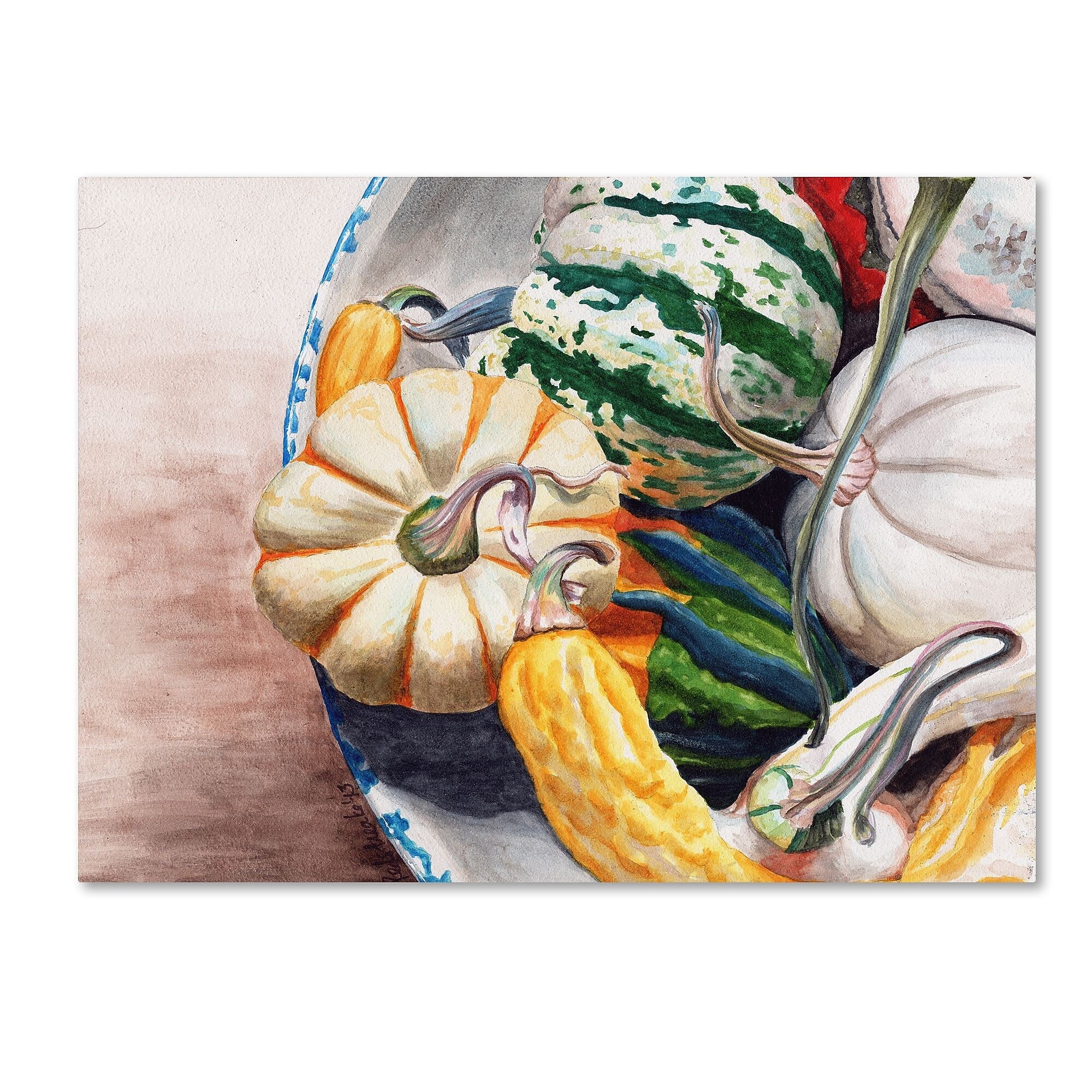 Trademark Fine Art Jennifer Redstreake 'Autumn Gourds' 14" x 19" Canvas Stretched Art Print (886511941434)