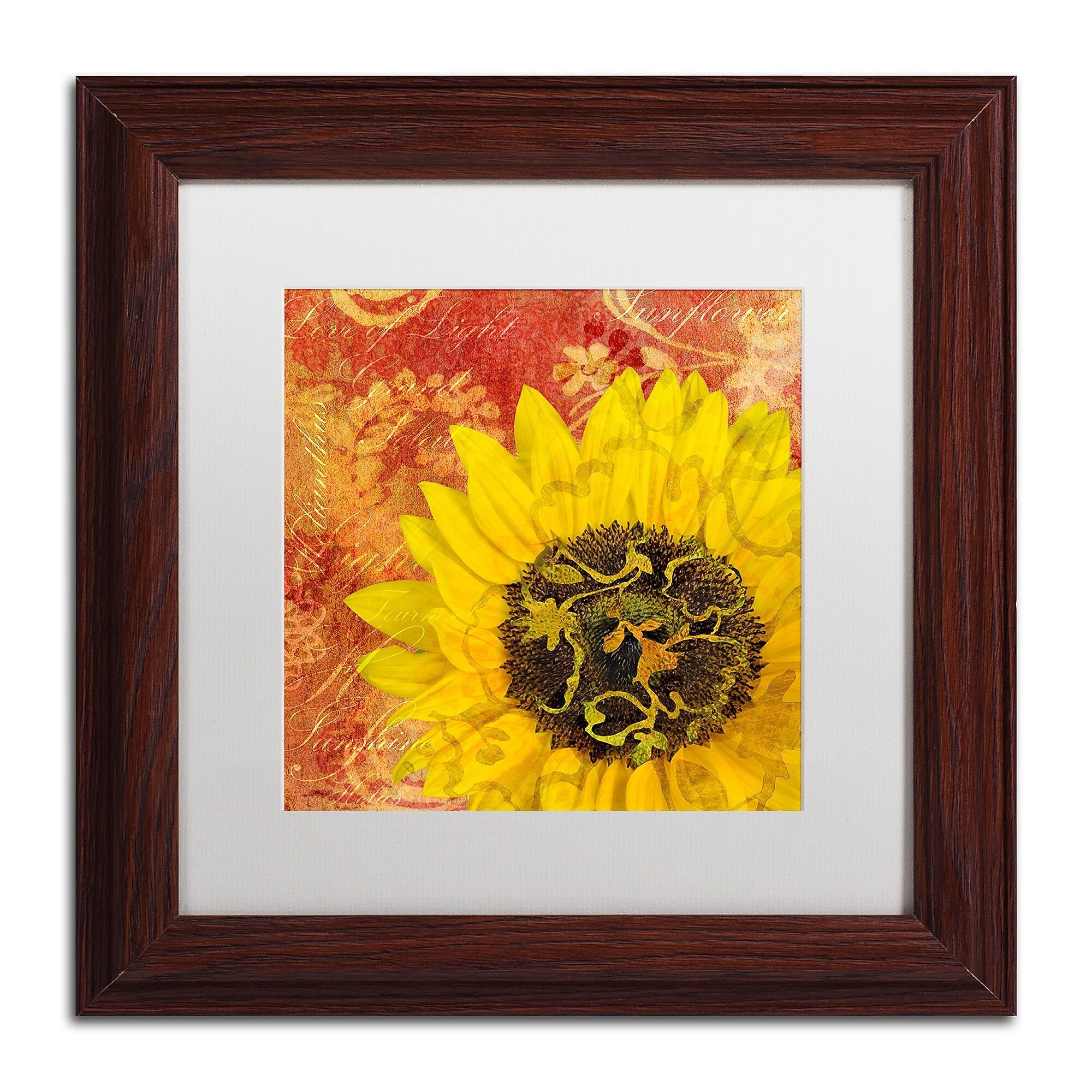 Trademark Fine Art Cora Niele 'Sunflower - Love of Light' 11" x 11" Matted Framed (190836312702)