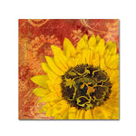 Trademark Fine Art Cora Niele 'Sunflower - Love of Light' 14" x 14" Canvas Stretched (190836312603)
