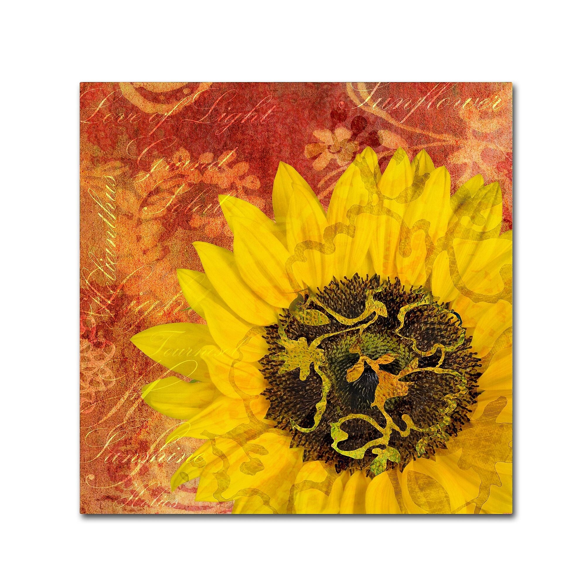 Trademark Fine Art Cora Niele 'Sunflower - Love of Light' 14" x 14" Canvas Stretched (190836312603)