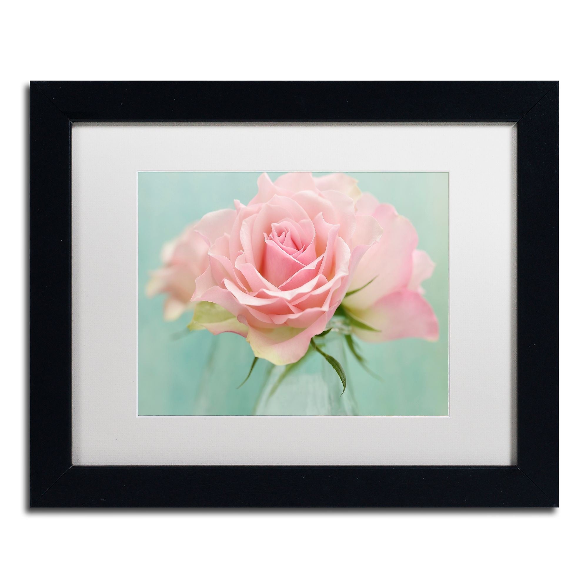 Trademark Fine Art Cora Niele 'Pink Roses' 11" x 14" Matted Framed (190836260201)