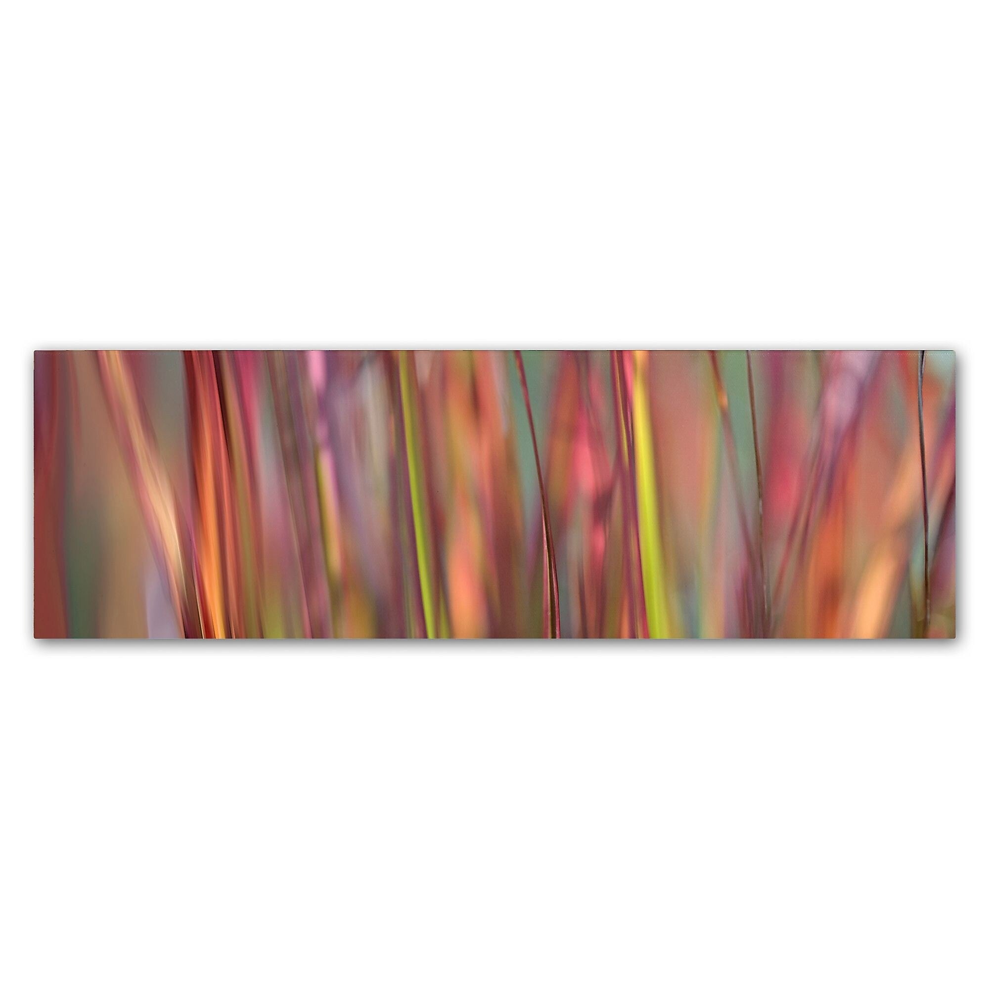 Trademark Fine Art Cora Niele 'Imperata Grass Scape' 6" x 19" Canvas Stretched (190836317561)