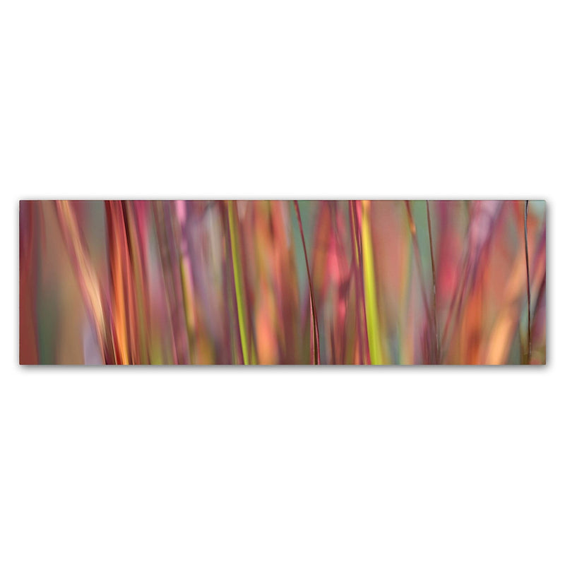 Trademark Fine Art Cora Niele 'Imperata Grass Scape' 6" x 19" Canvas Stretched (190836317561)