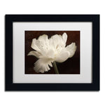 Trademark Fine Art Cora Niele 'White Tulip II' 11" x 14" Matted Framed (190836311743)