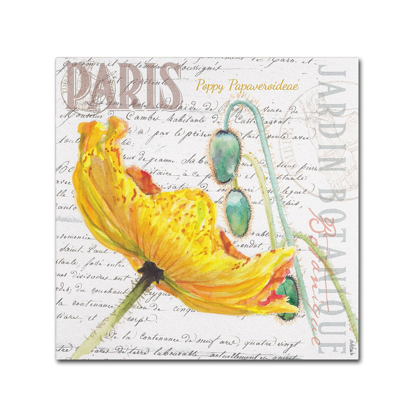 Trademark Fine Art Jennifer Redstreake 'Paris Botanique Yellow Poppy' 14" x 14" Canvas Stretched Art Print (886511944473)