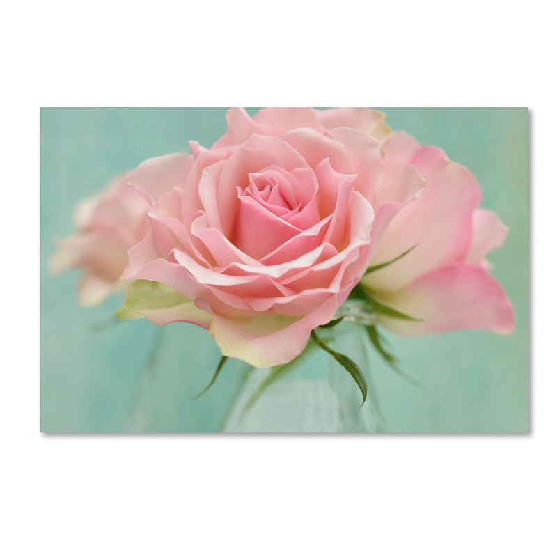 Trademark Fine Art Cora Niele 'Pink Roses' 12" x 19" Canvas Stretched (190836260225)