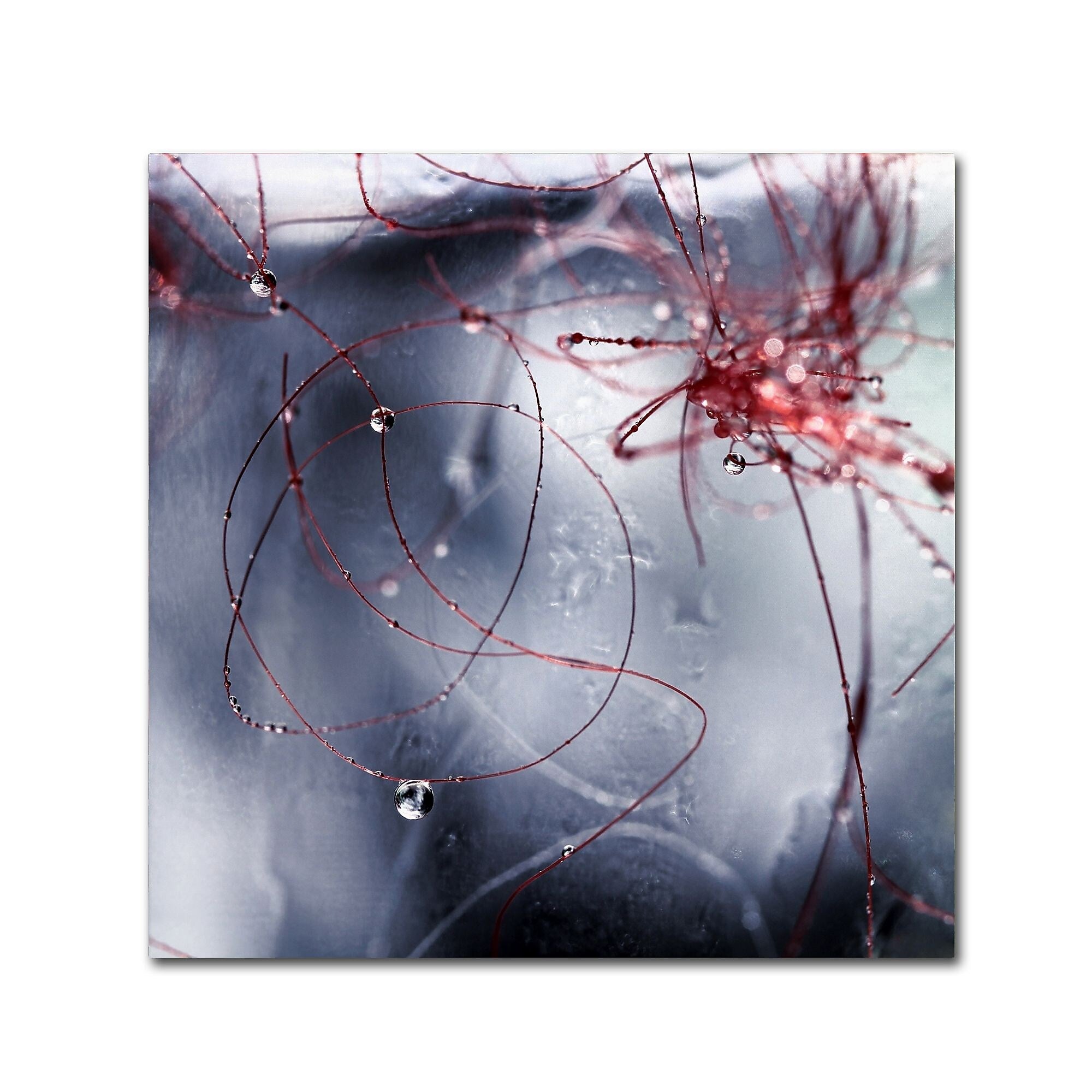 Trademark Fine Art Beata Czyzowska Young 'One Day I'll Find You' 18" x 18" Canvas Stretched Art Print (190836184774)