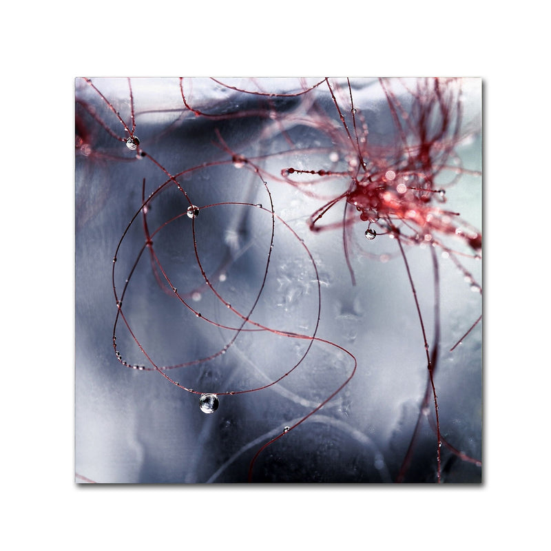 Trademark Fine Art Beata Czyzowska Young 'One Day I'll Find You' 18" x 18" Canvas Stretched Art Print (190836184774)