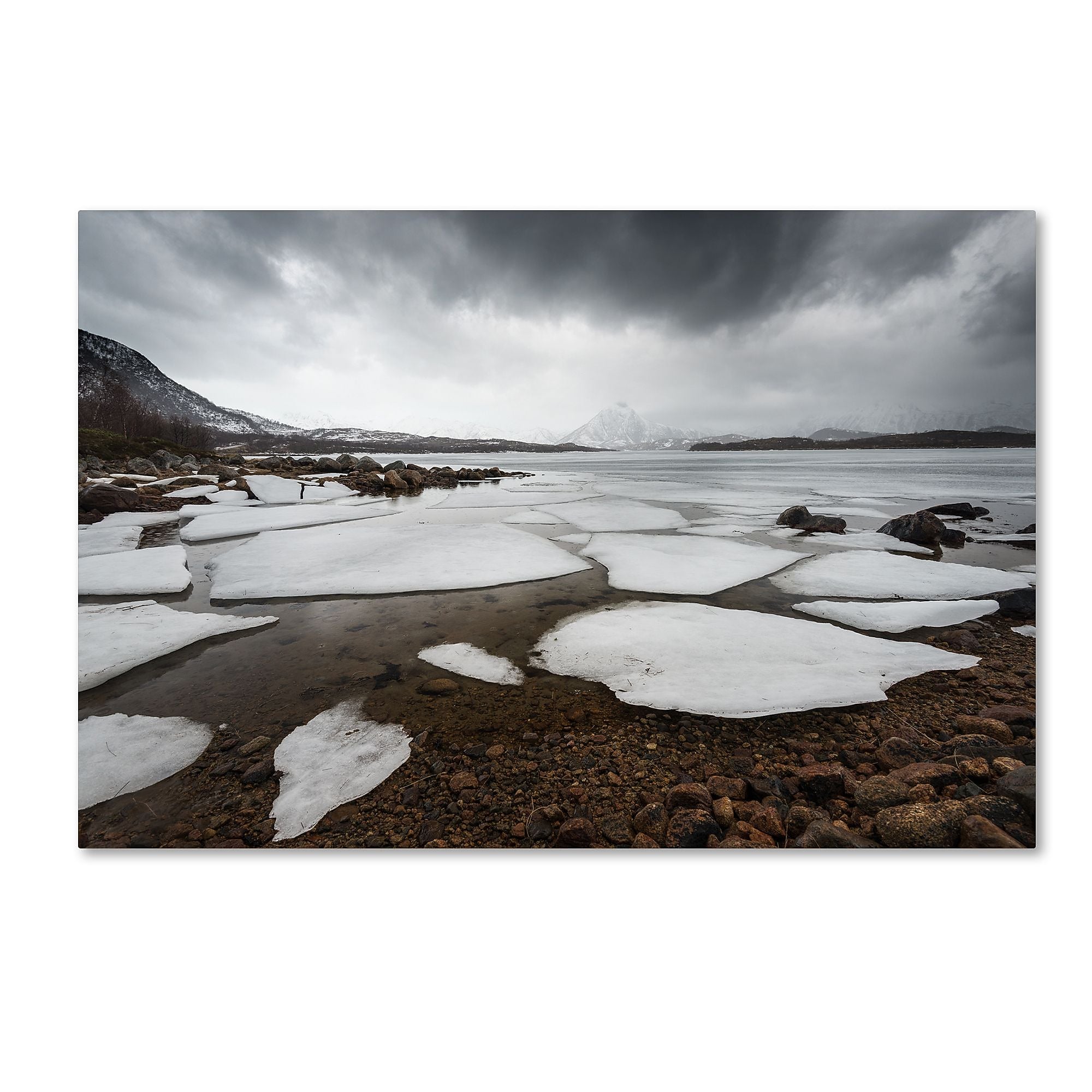 Trademark Fine Art Philippe Sainte-Laudy 'Wildest Dreams' 12" x 19" Canvas Stretched Art Print (190836238620)