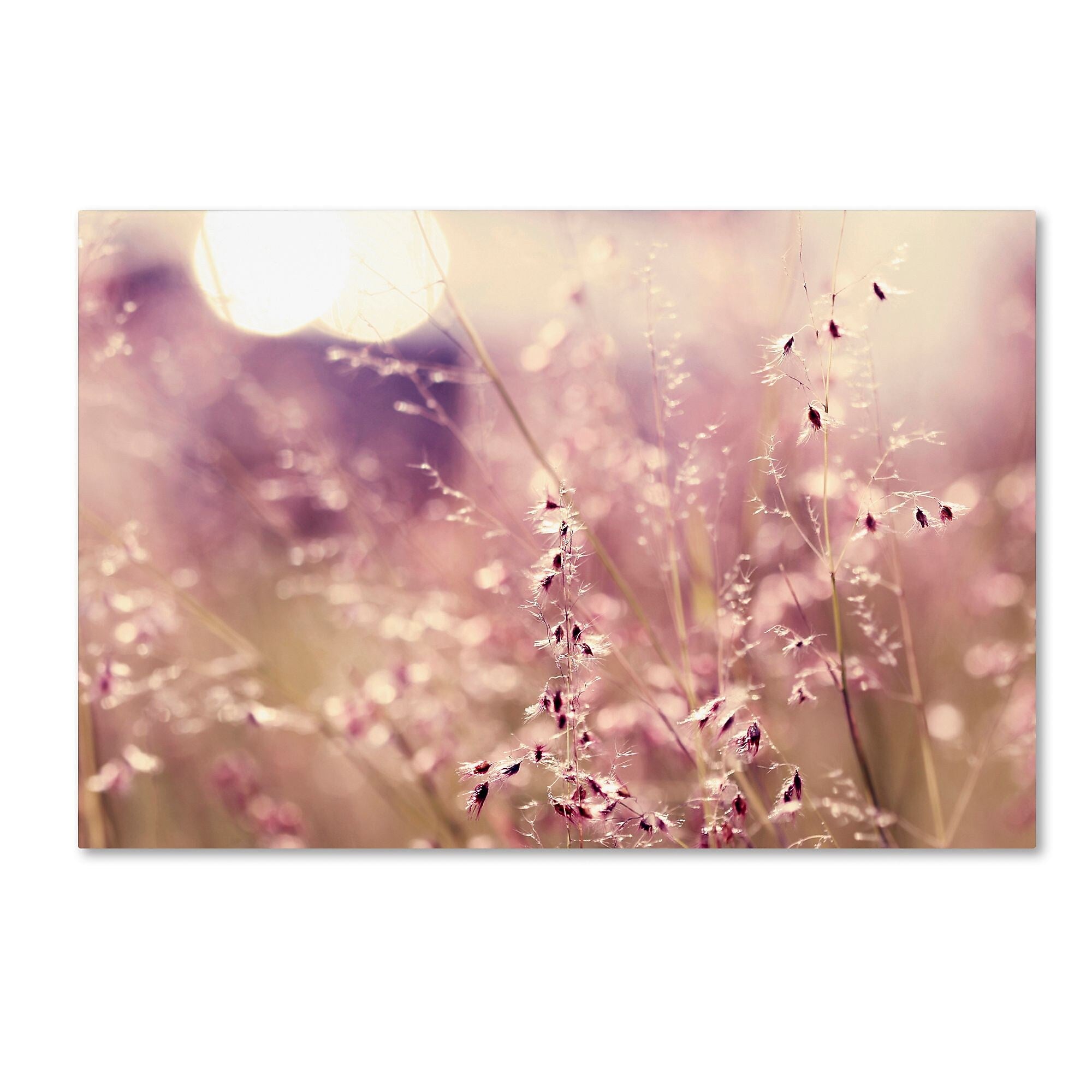 Trademark Fine Art Beata Czyzowska Young 'Afternoon Tales' 12" x 19" Canvas Stretched Art Print (190836182381)