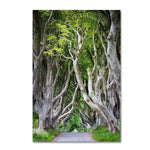 Trademark Fine Art Philippe Sainte-Laudy 'Down There' 12" x 19" Canvas Stretched Art Print (190836219704)