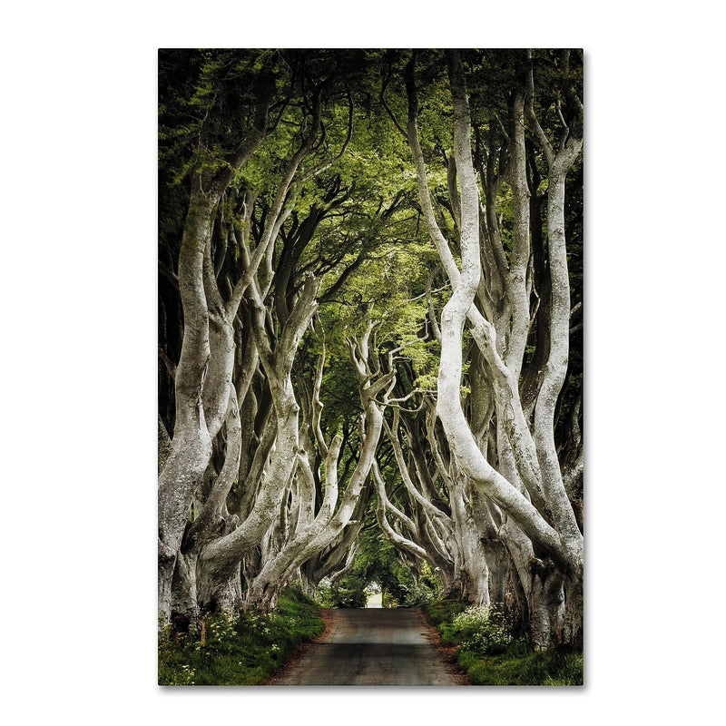 Trademark Fine Art Philippe Sainte-Laudy 'Romantic Avenue' 12" x 19" Canvas Stretched Art Print (190836224043)