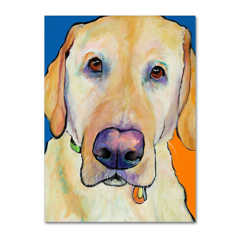 Trademark Fine Art Pat Saunders-White 'Spenser' 14" x 19" Canvas Stretched Art Print (190836062270)