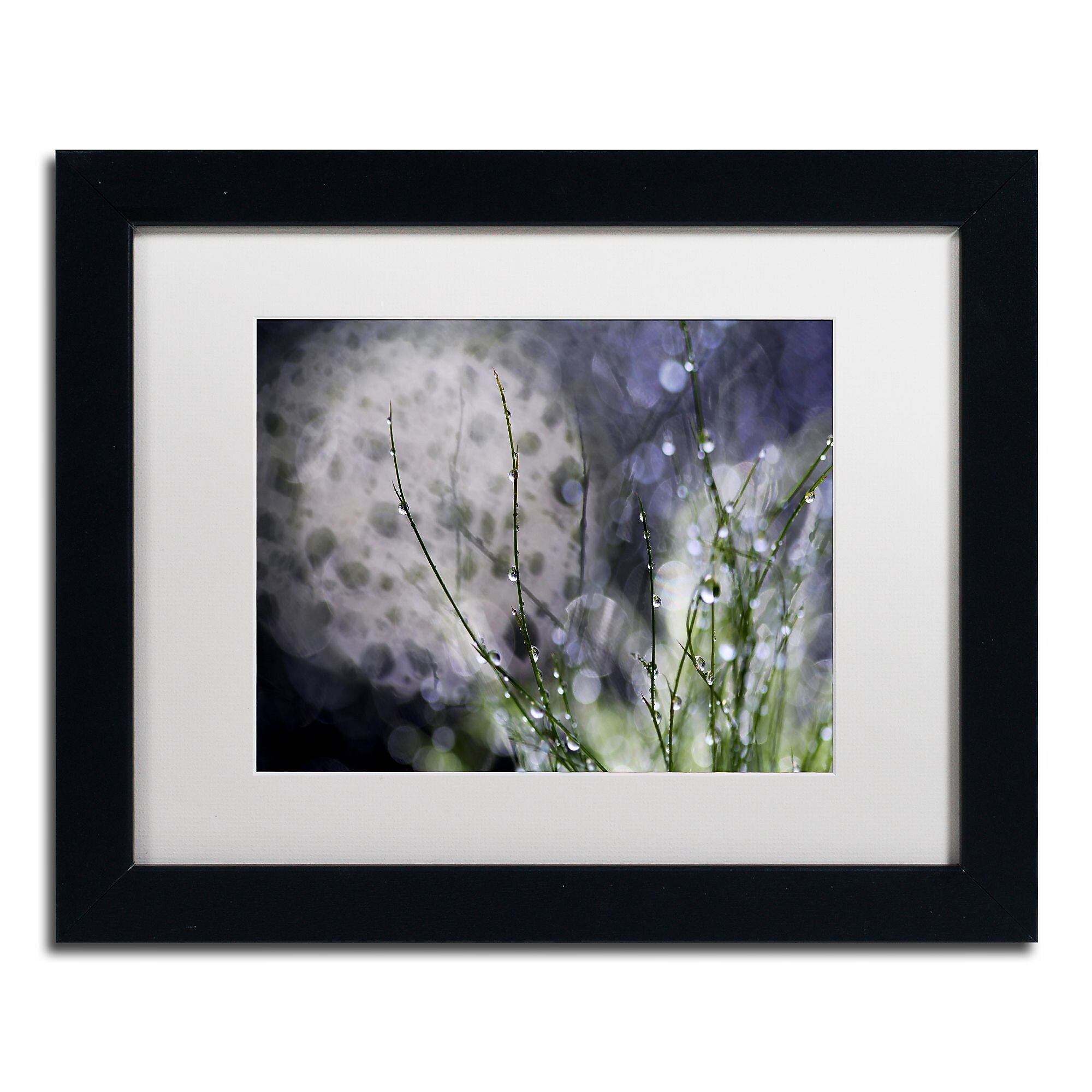 Trademark Fine Art Beata Czyzowska Young 'Morning Tale' 11" x 14" Matted Framed Art Print (190836184460)