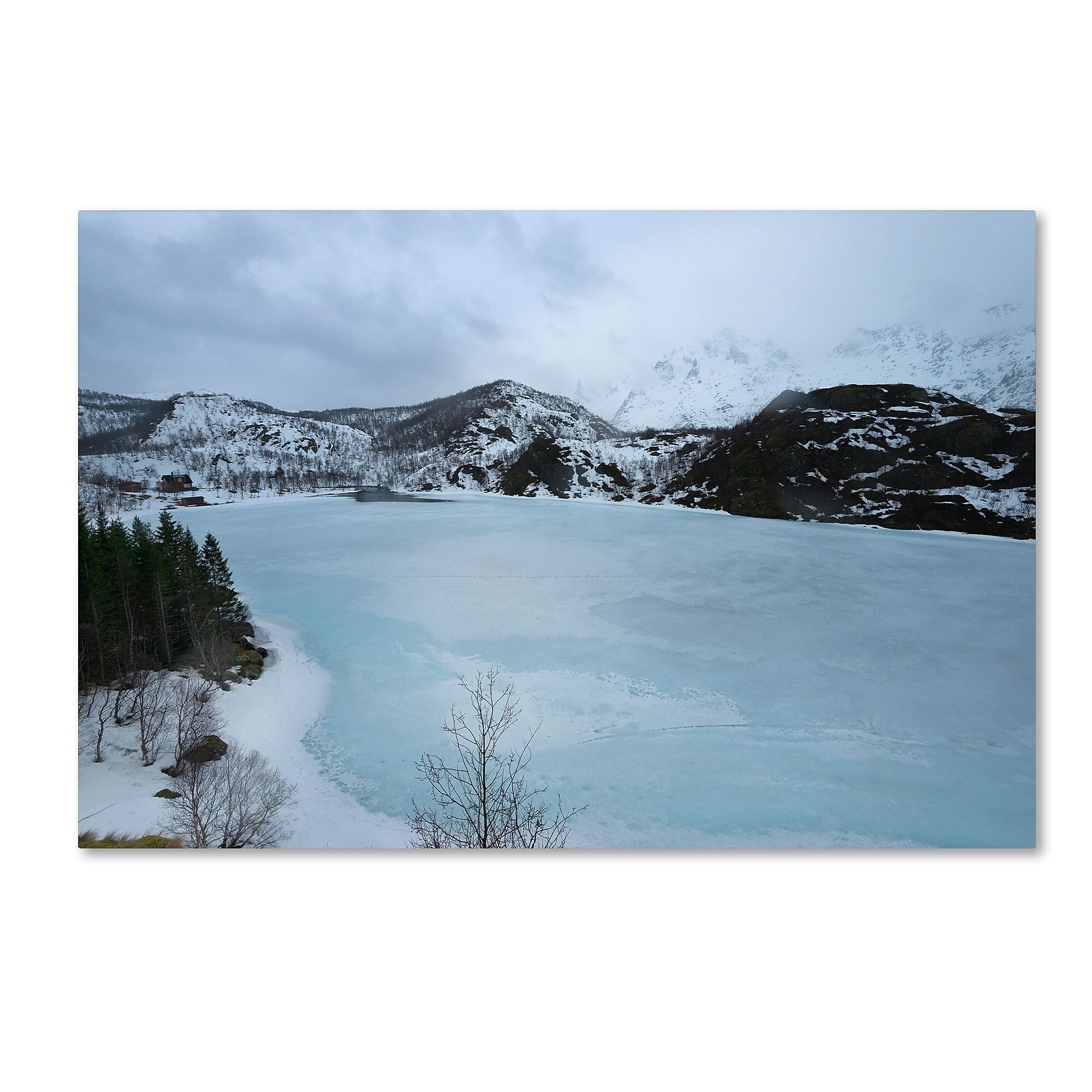 Trademark Fine Art Philippe Sainte-Laudy 'Picture That' 12" x 19" Canvas Stretched (190836222926)