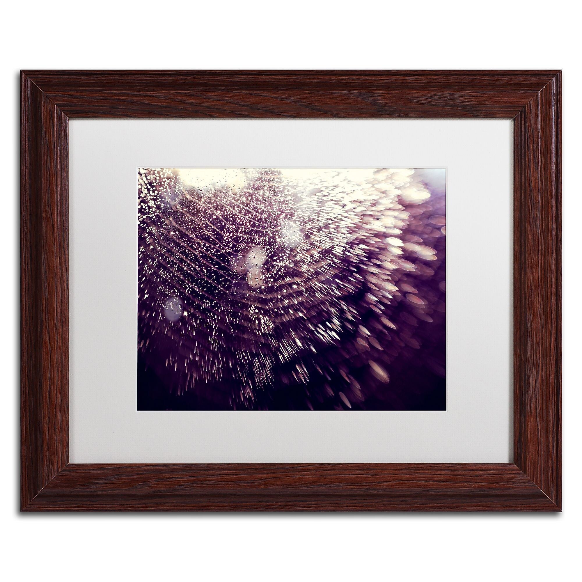 Trademark Fine Art Beata Czyzowska Young 'Wishful Thinking' 11" x 14" Matted Framed Art Print (190836186969)