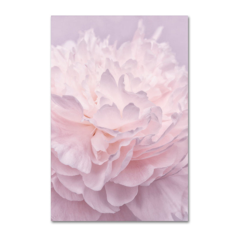 Trademark Fine Art Cora Niele 'Pink Peony Petals I' 12" x 19" Canvas Stretched (190836307289)
