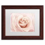 Trademark Fine Art Cora Niele 'Peach Pink Rose' 11" x 14" Matted Framed Art Print (190836306404)