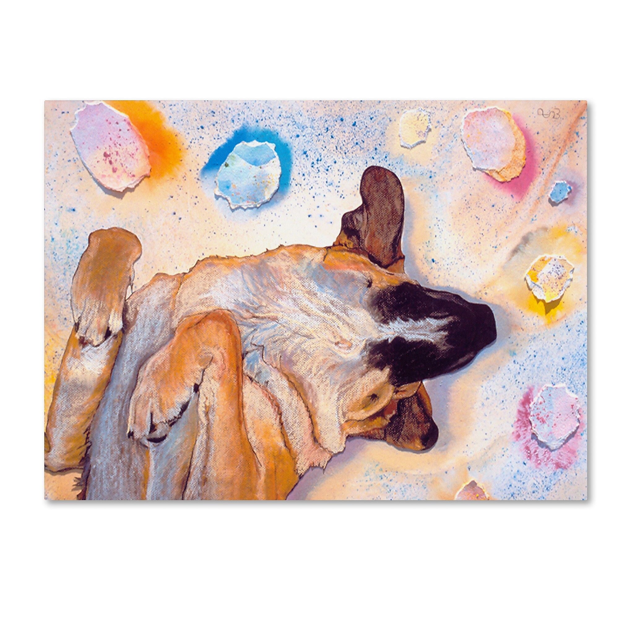 Trademark Fine Art Pat Saunders-White 'Dog Dreams' 14" x 19" Canvas Stretched (190836059232)