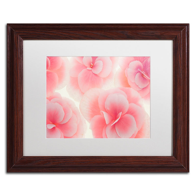 Trademark Fine Art Cora Niele 'Rose Begonia Flowers' 11" x 14" Matted Framed Art Print (190836309061)