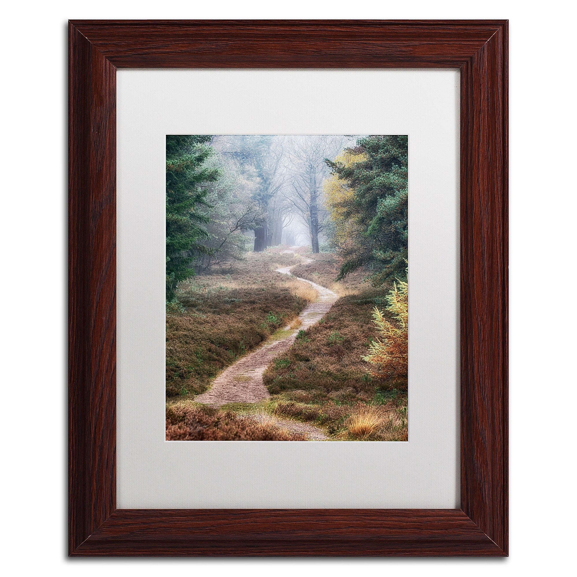 Trademark Fine Art Cora Niele 'Hiking Trail' 11" x 14" Matted Framed (190836316625)