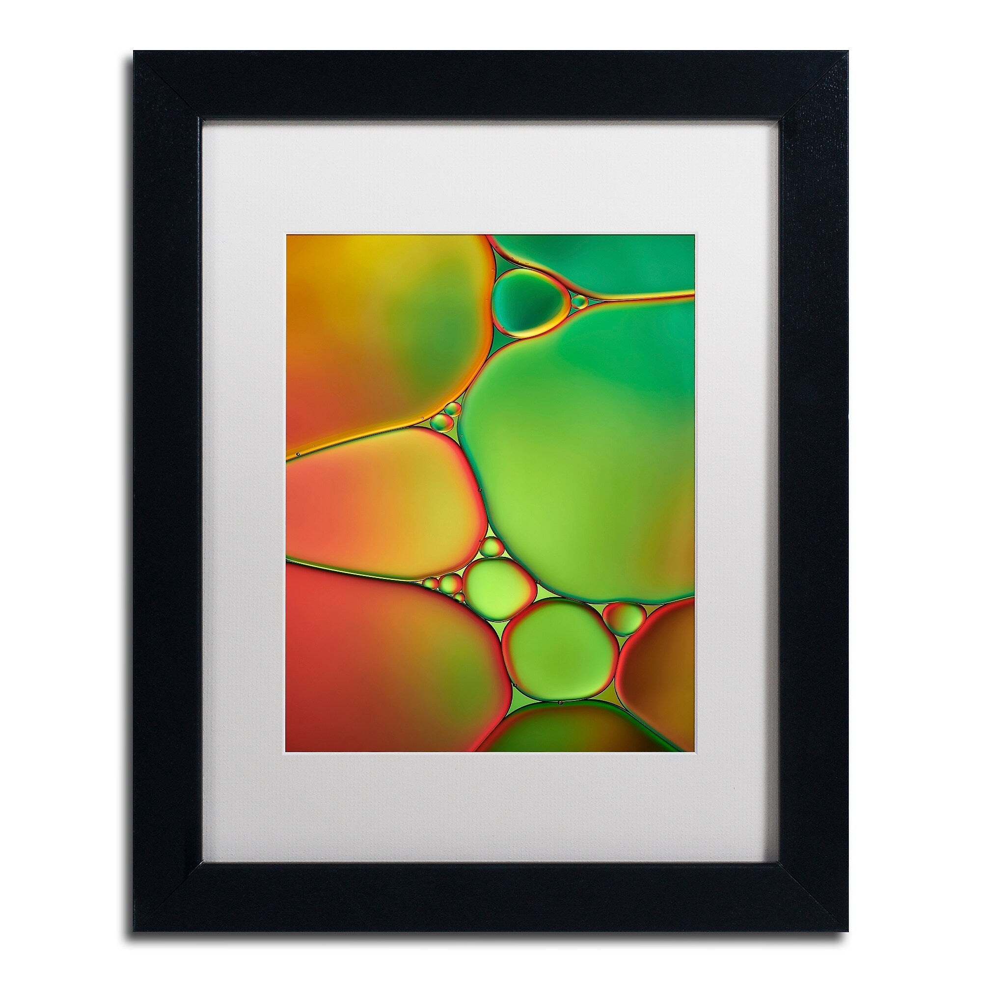 Trademark Fine Art Cora Niele 'Stained Glass II' 11" x 14" Matted Framed (190836254545)