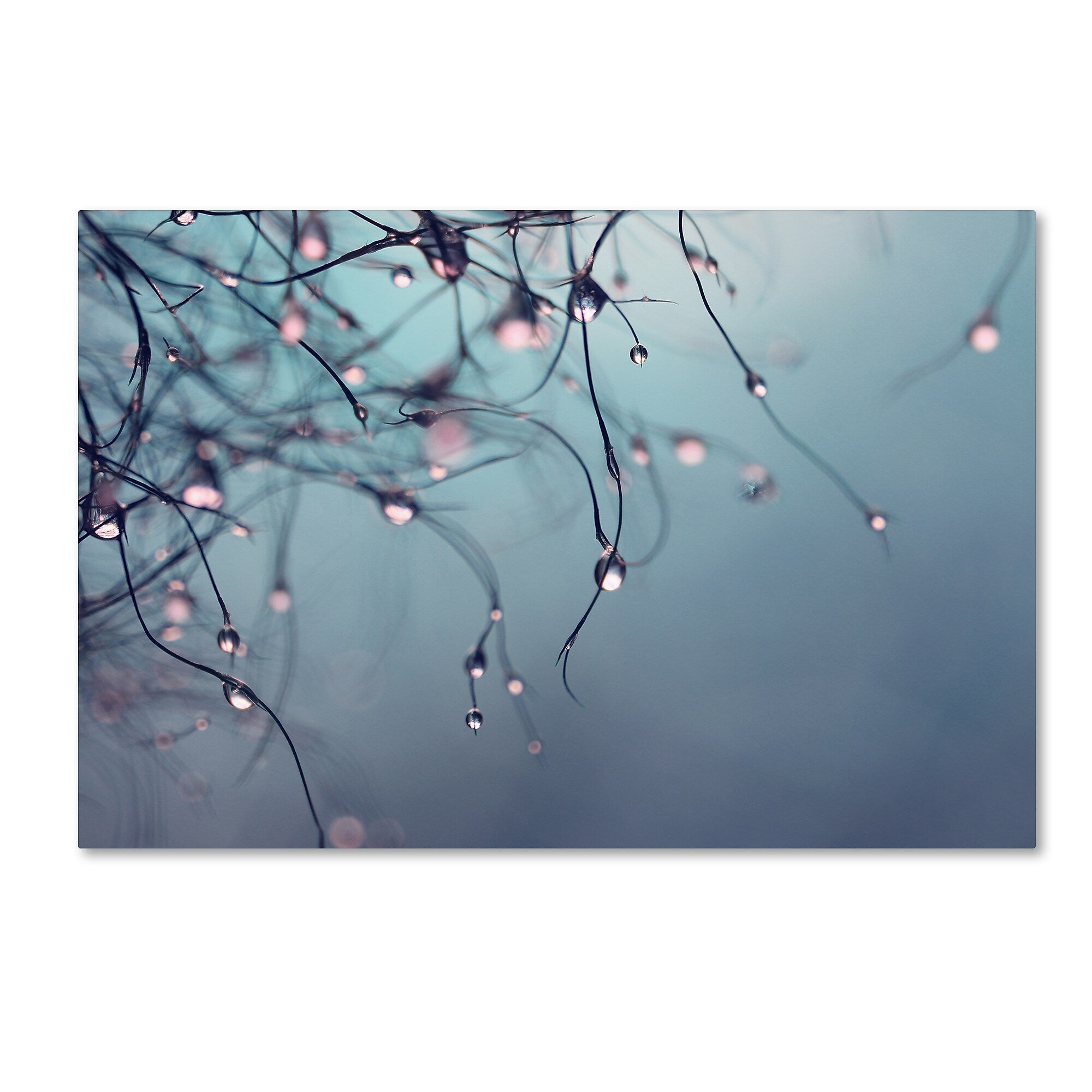 Trademark Fine Art Beata Czyzowska Young 'As Time Goes By' 12" x 19" Canvas Stretched Art Print (190836182664)