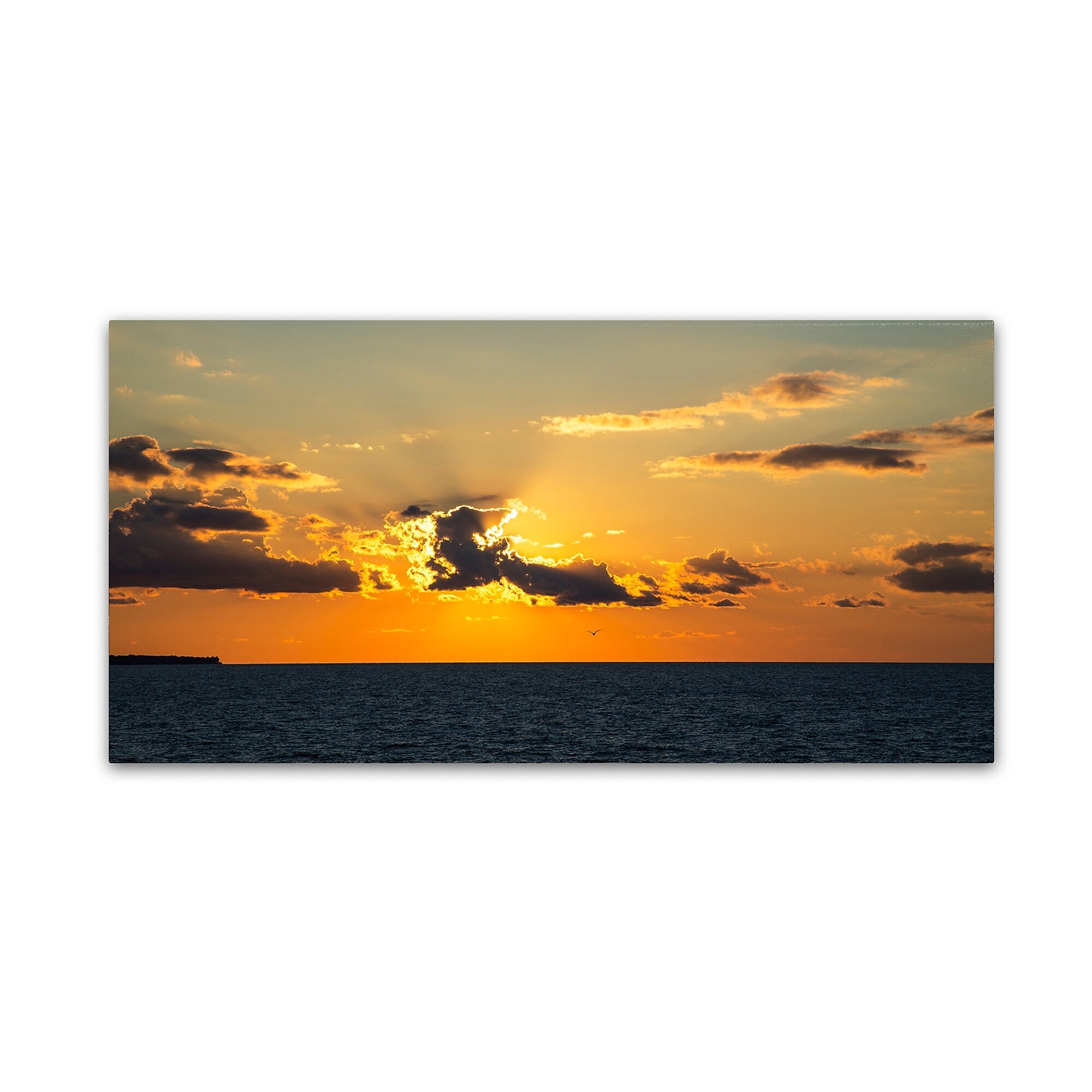Trademark Fine Art Kurt Shaffer 'Seagull Sunset' 12" x 24" Canvas Stretched (190836008247)