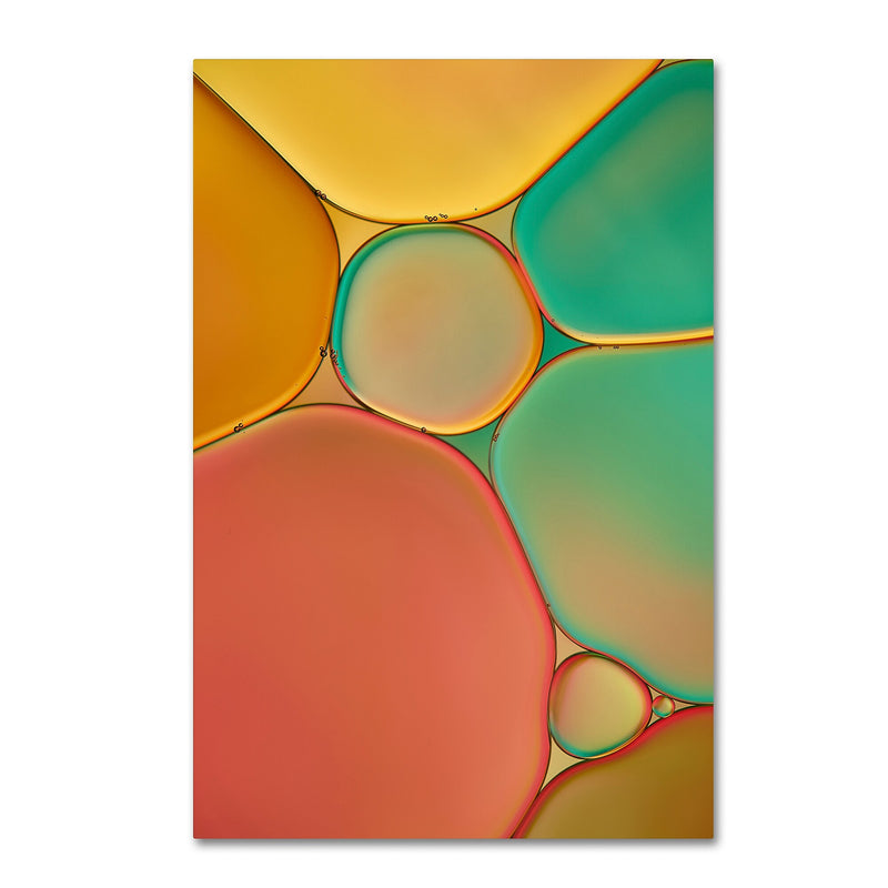 Trademark Fine Art Cora Niele 'Red Yellow and Green Drops' 12" x 19" Canvas Stretched (190836254286)