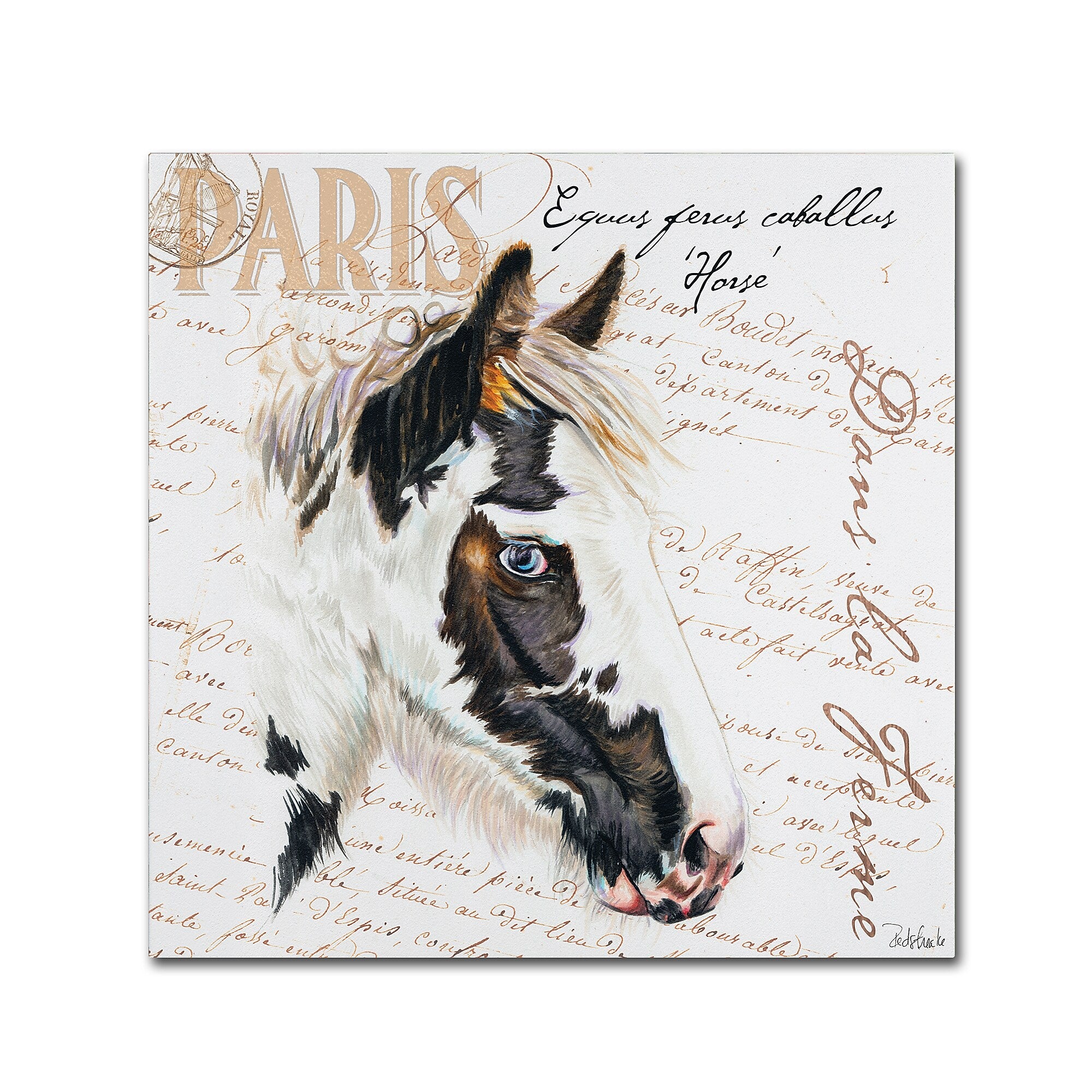 Trademark Fine Art Jennifer Redstreake 'Dans la Ferme Horse' 14" x 14" Canvas Stretched (886511943032)