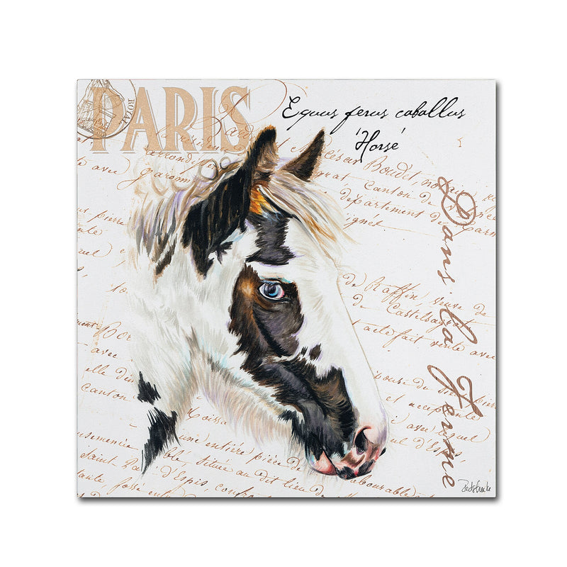 Trademark Fine Art Jennifer Redstreake 'Dans la Ferme Horse' 14" x 14" Canvas Stretched (886511943032)