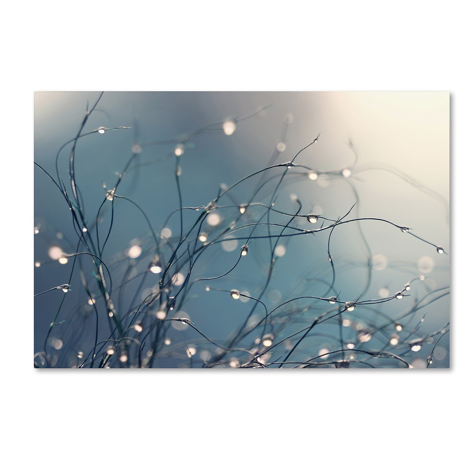 Trademark Fine Art Beata Czyzowska Young 'When You're Sleeping' 12" x 19" Canvas Stretched Art Print (190836186723)