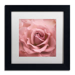 Trademark Fine Art Cora Niele 'Misty Rose Pink Rose' 11" x 11" Matted Framed (190836258185)