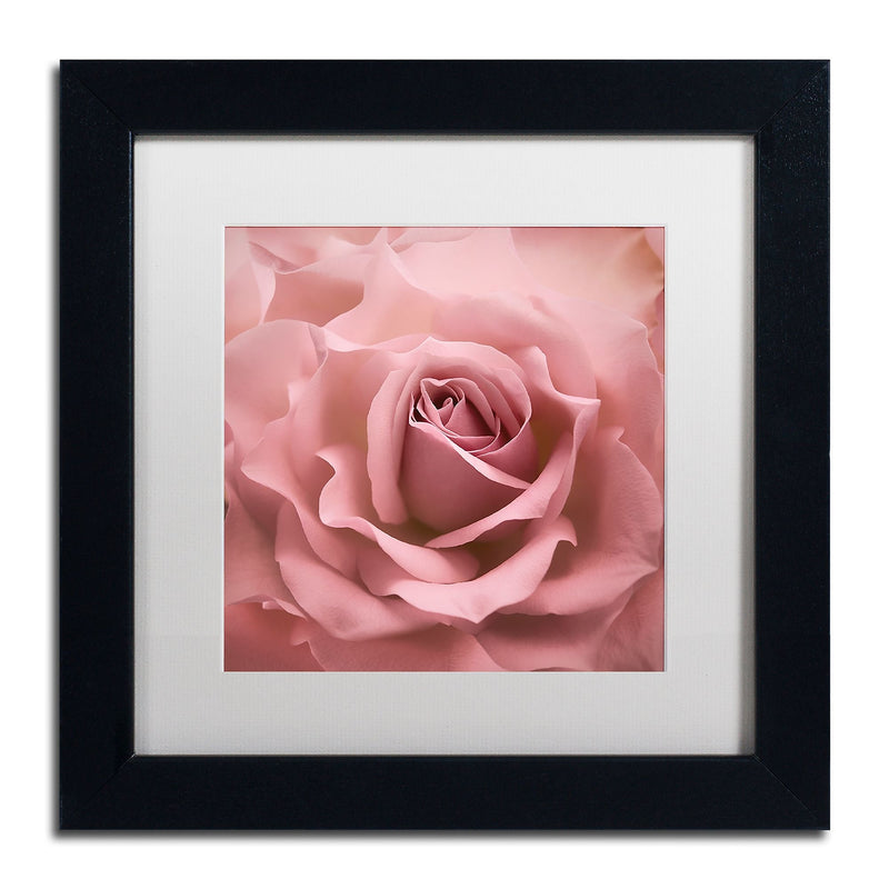 Trademark Fine Art Cora Niele 'Misty Rose Pink Rose' 11" x 11" Matted Framed (190836258185)