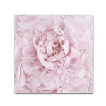 Trademark Fine Art Cora Niele 'Pink Peony Flower' 18" x 18" Canvas Stretched (190836307159)