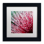 Trademark Fine Art Beata Czyzowska Young 'Pink Melody' 11" x 11" Matted Framed Art Print (190836185023)