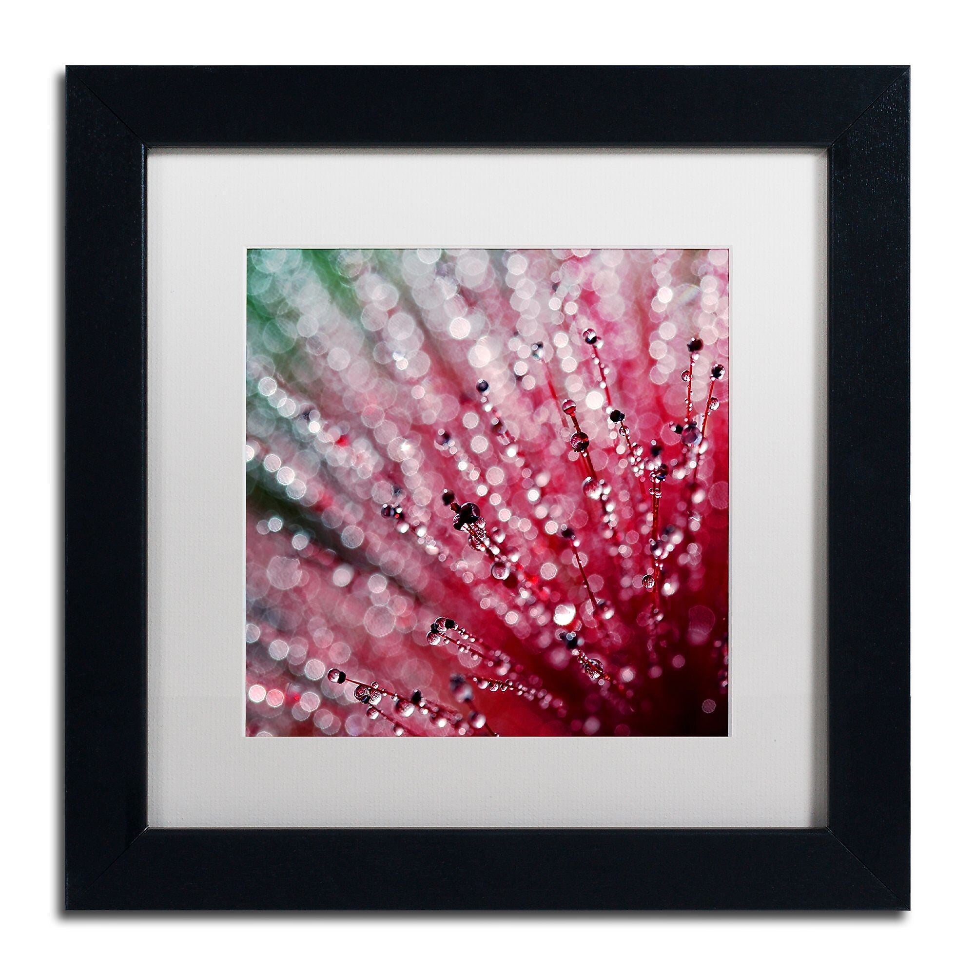Trademark Fine Art Beata Czyzowska Young 'Pink Melody' 11" x 11" Matted Framed Art Print (190836185023)