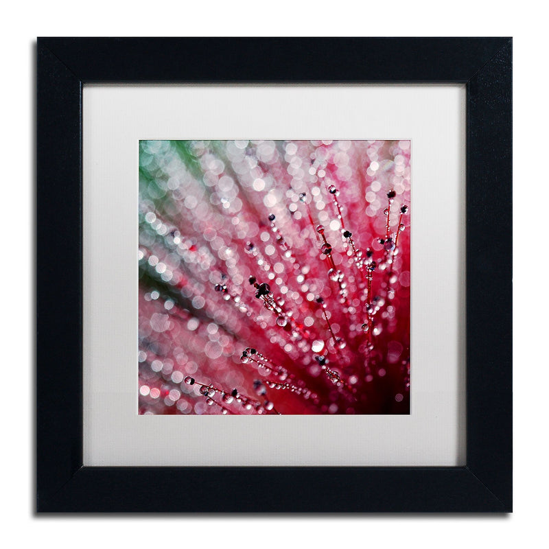 Trademark Fine Art Beata Czyzowska Young 'Pink Melody' 11" x 11" Matted Framed Art Print (190836185023)