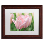 Trademark Fine Art Cora Niele 'Pink Tulip Baronesse' 11" x 14" Matted Framed (190836248889)
