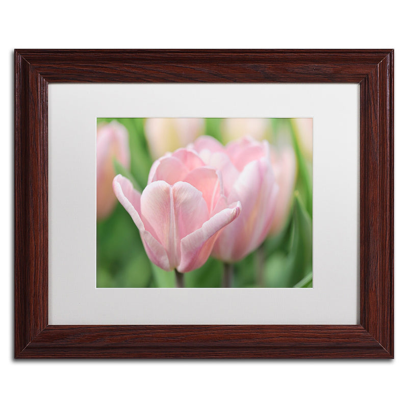 Trademark Fine Art Cora Niele 'Pink Tulip Baronesse' 11" x 14" Matted Framed (190836248889)