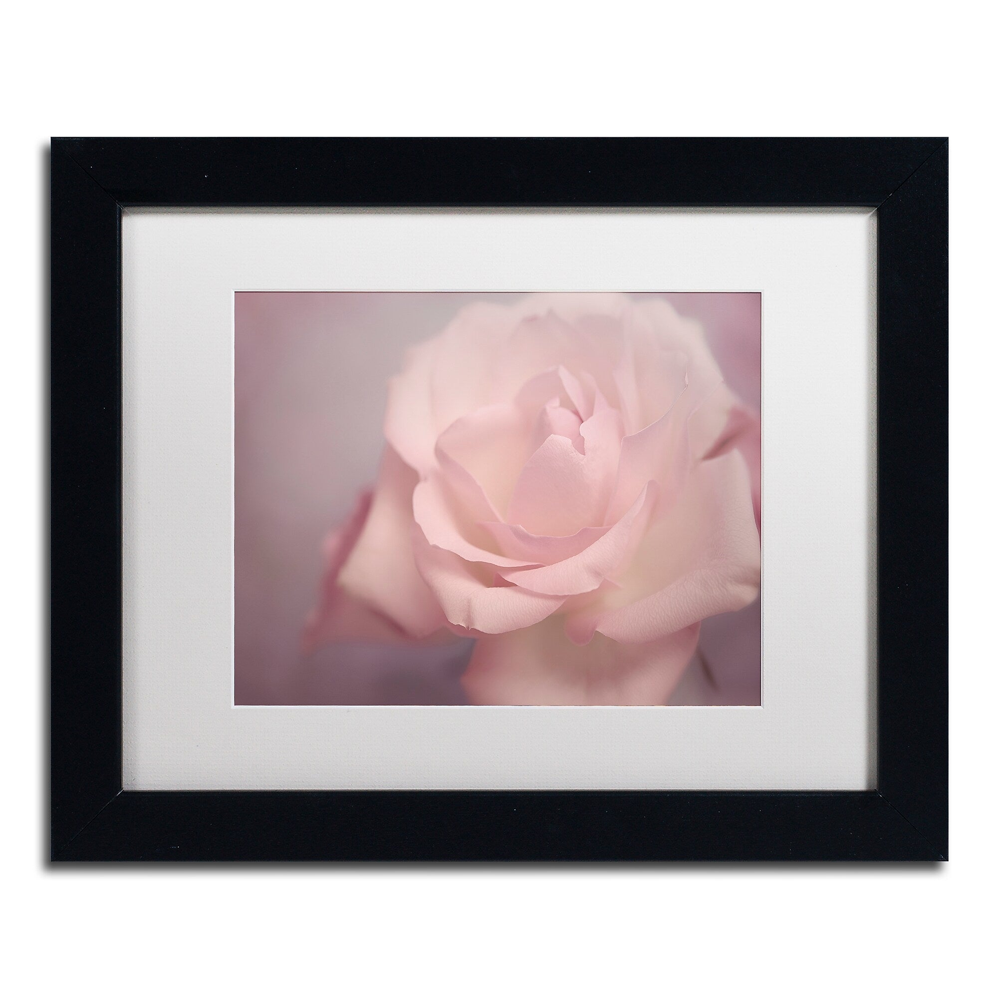 Trademark Fine Art Cora Niele 'Tenderness' 11" x 14" Matted Framed (190836260768)