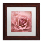 Trademark Fine Art Cora Niele 'Misty Rose Pink Rose' 11" x 11" Matted Framed Art Print (190836258307)